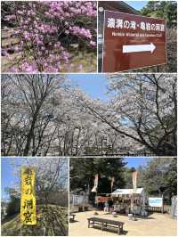 【千葉・鴨川】まるでジブリ