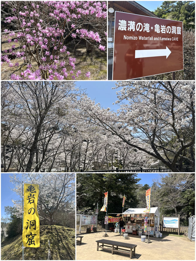 【千葉・鴨川】まるでジブリ