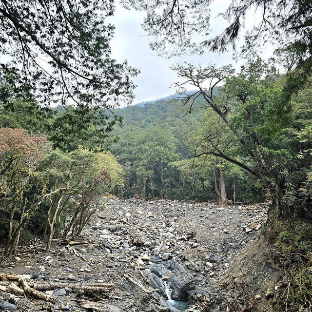 司馬庫斯（上帝的部落）
