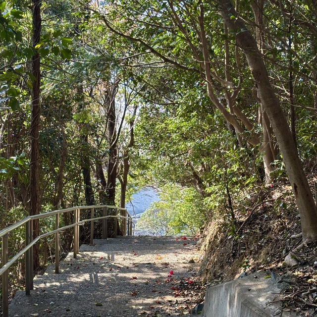 波の音を聞きながら離島巡り❤️
