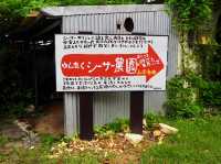 【石垣島】 福が来るカラフルシーサー　in石垣島