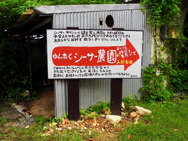 【石垣島】 福が来るカラフルシーサー　in石垣島