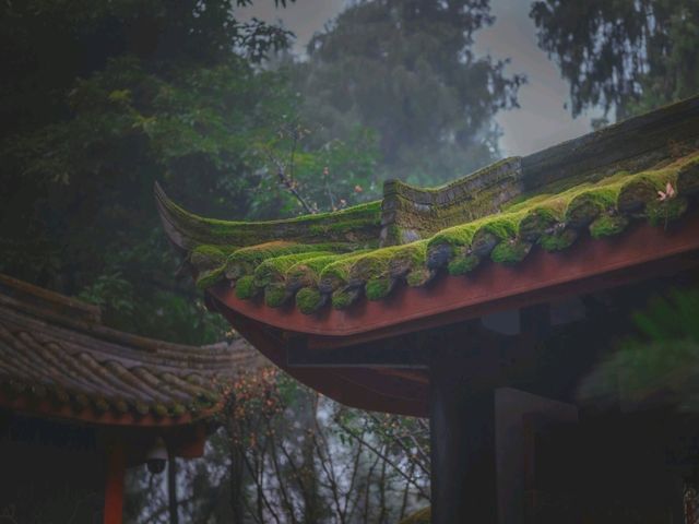[🇨🇳成都] 三国志ファン必見！武侯祠で諸葛亮の知略に触れる旅