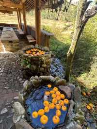 Gaoligong Mountain: Where Beauty and Biodiversity Meet