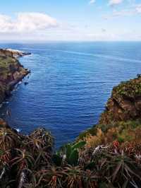 Cristol Rei, Madeira, Portugal