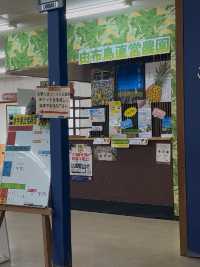 由布島で味わう沖縄の家庭料理「由布島レストラン」—水牛車で渡る島の唯一の食堂