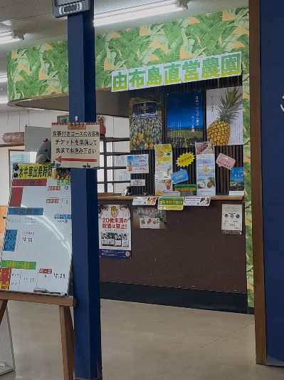 由布島で味わう沖縄の家庭料理「由布島レストラン」—水牛車で渡る島の唯一の食堂