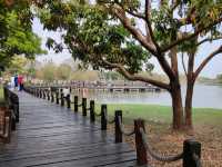 #台南都會公園-臺南市仁德區