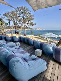 🌊釜山最Chill海景咖啡廳！Waveon Coffee 3層觀海打卡點一次收齊☕建築大師打造的夢幻海邊玻璃屋