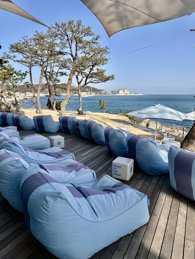 🌊釜山最Chill海景咖啡廳！Waveon Coffee 3層觀海打卡點一次收齊☕建築大師打造的夢幻海邊玻璃屋