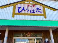 【地魚×絶景の穴場食堂】天草の「海の幸 ひらはた」🐟