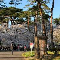 Omiya Park, Saitama