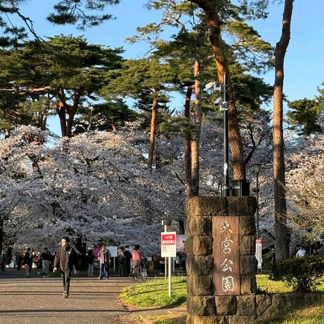 Omiya Park, Saitama