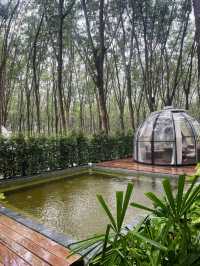 Luxury Meets Nature at Timber Society – Private Pool Glamping, Phuket