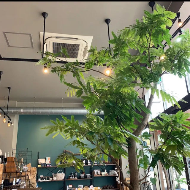 BASE cafe