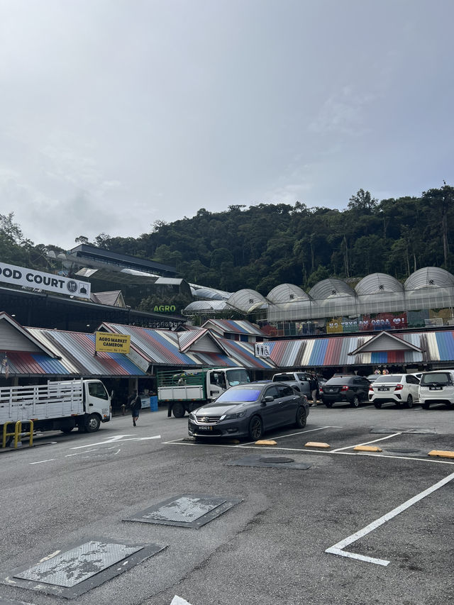 Delightful destination in Cameron Highlands