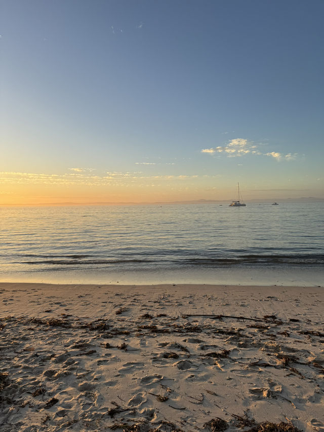 【シドニー郊外】野生のイルカと絶景に出会える場所。Port Stephens で過ごす1日