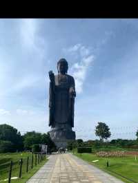想像以上にデカい…牛久大仏に圧倒された日