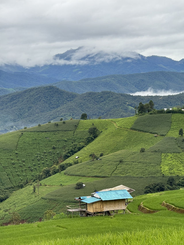 ที่พักบ้านป่าบงเปียง จ.เชียงใหม่ 🏡⛰️🌦️🌾
