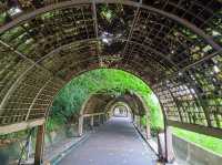 #臺東森林公園-臺東縣臺東市
