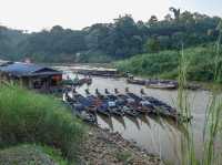 🌿🚤 Taman Negara River Cruise Review: A Jungle Adventure!