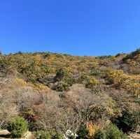 【釈迦ヶ岳】🏔️ 鈴鹿セブンマウンテン