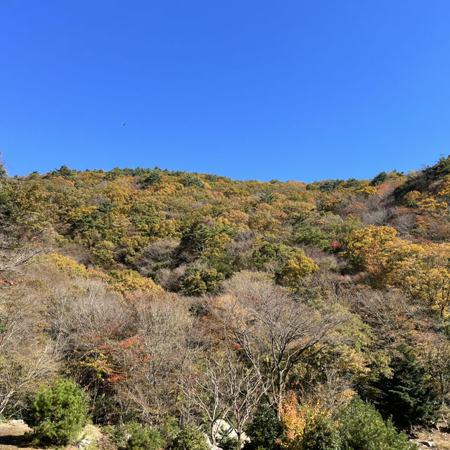 【釈迦ヶ岳】🏔️ 鈴鹿セブンマウンテン