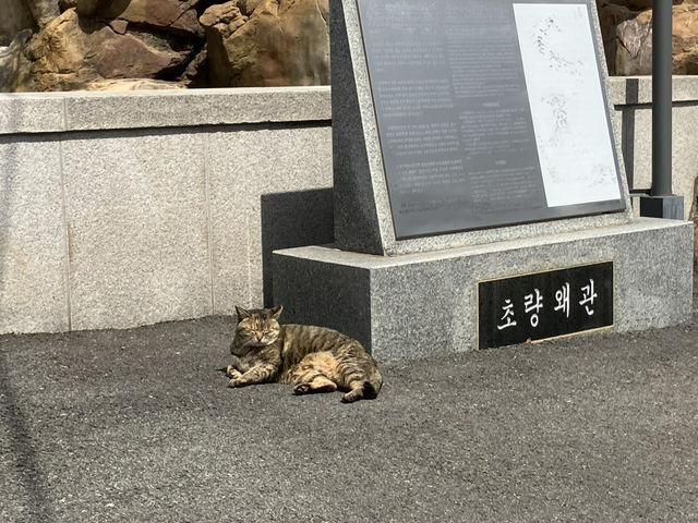 Yongdusan Park, Busan