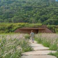 เปิดประสบการณ์ชมงานศิลป์กลางป่าใหญ่🌿