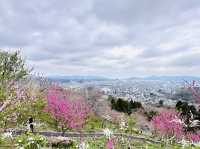 🇯🇵 仙台櫻花 船岡城址公園🌸