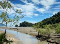Whispers of the Wild: Sharing Thoughts After an Unforgettable Journey to Bako National Park