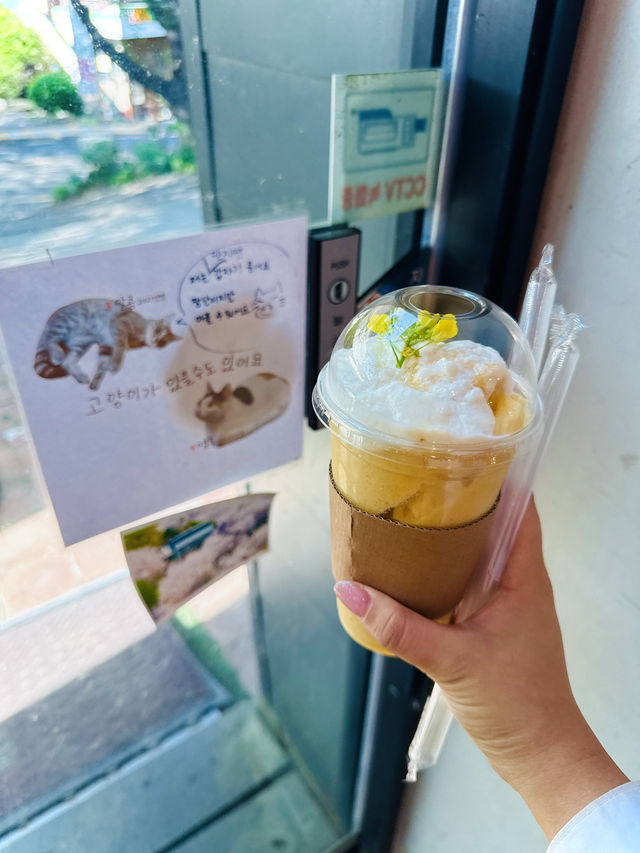 국내 대형 등나무 본사람🍇💜✅ 장유도예카페 