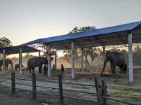 【ネパール🇳🇵】チトワン国立公園近くの魅力的な村ソーラハ🐘
