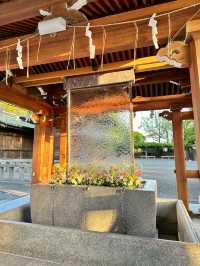 福岡宮地嶽神社「光之道」🌅 被夕陽點亮的參道✨嵐也來拍廣告的浪漫絕景⛩️