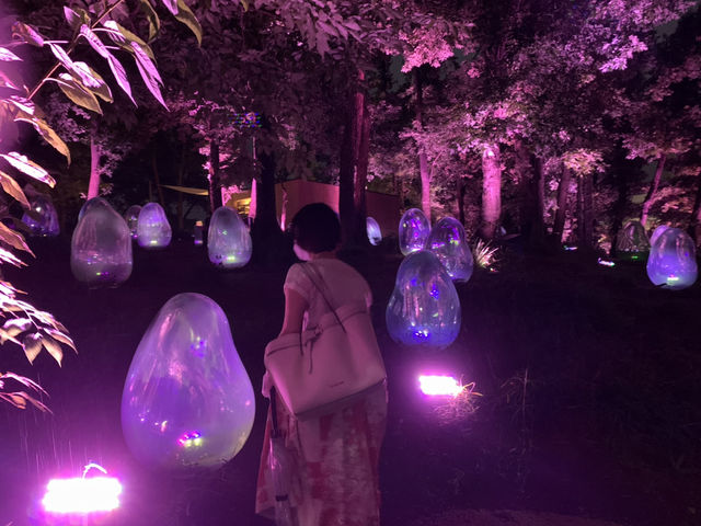 幻想的✨卵たち