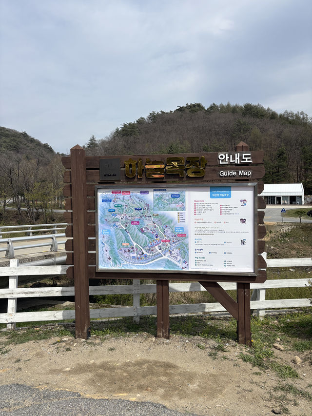 가족끼리 떠나기 좋은 평창 대관령 목장 추천🐑