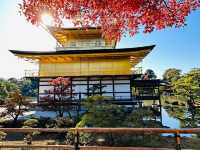 OSAKA | THÀNH PHỐ KHÔNG NGỦ