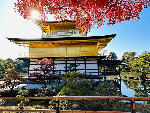 OSAKA | THÀNH PHỐ KHÔNG NGỦ
