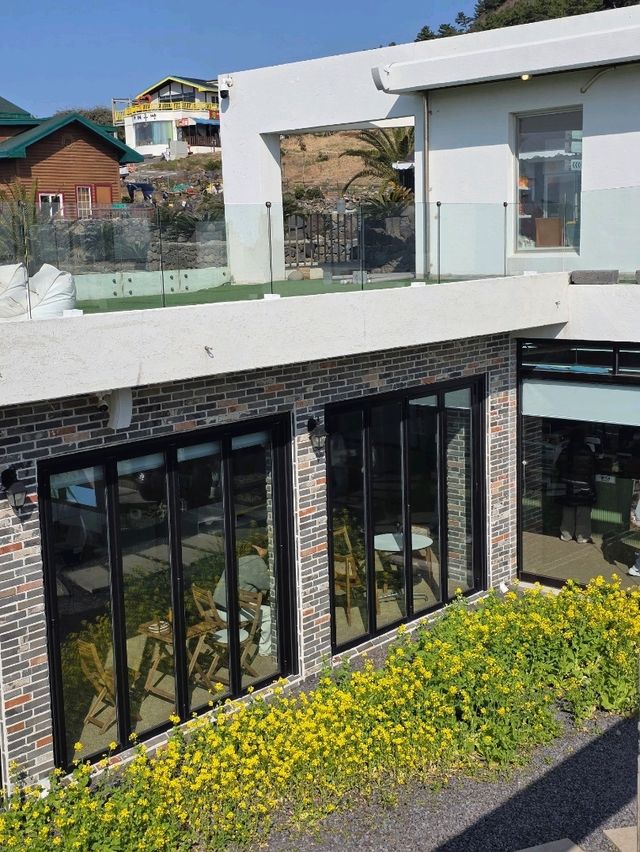 노란 물결 속에 피어난 감성 카페🌼