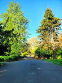 Sydney Gardens