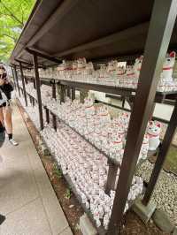 東京六日遊5/4第五天豪德寺喵喵廟