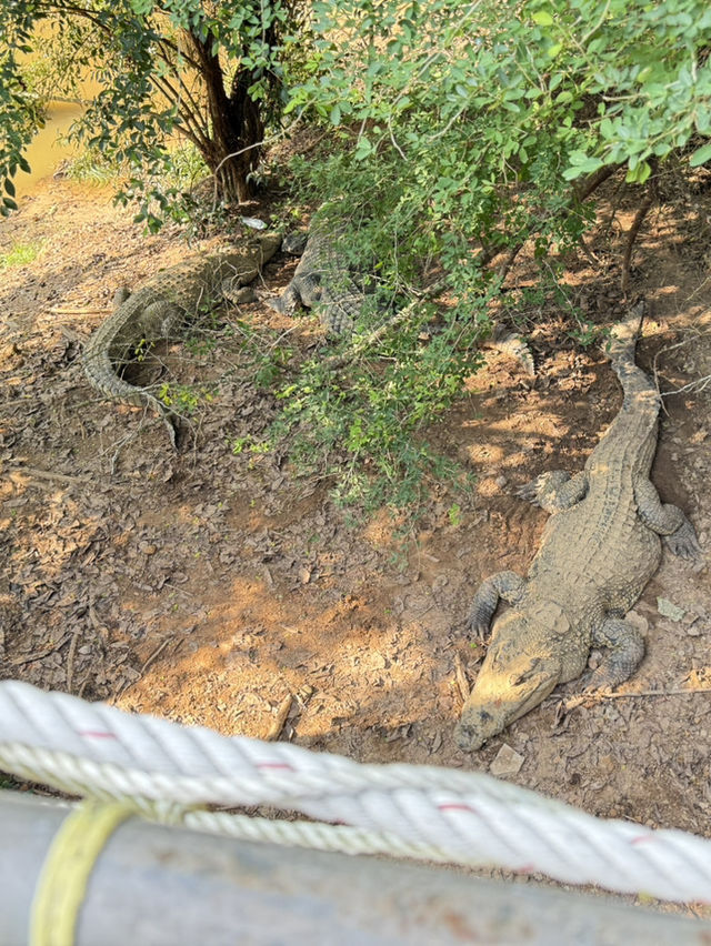 富國島野生動物園