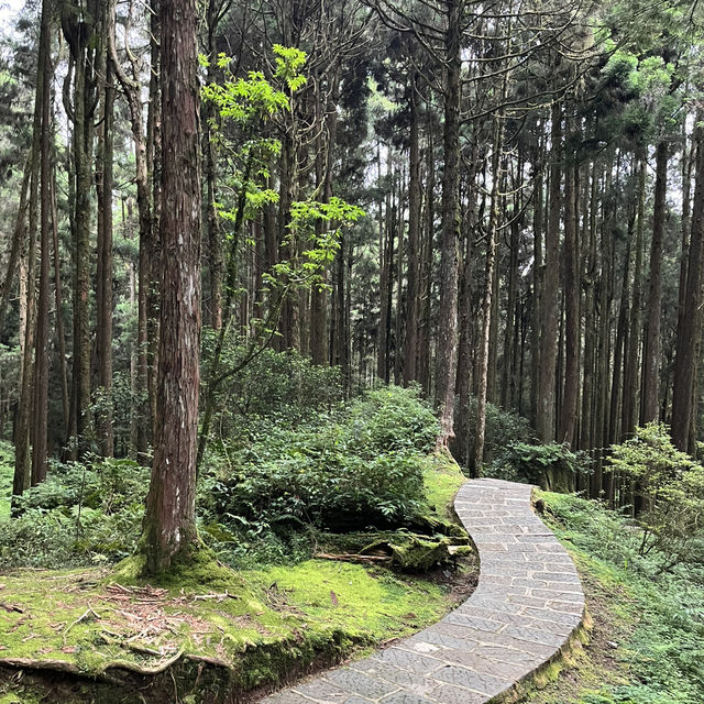 台灣阿里山