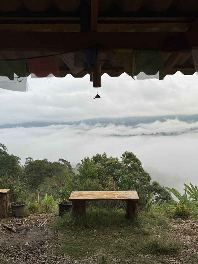 บ้านโฮมเตย์ จ.เชียงใหม่ 🏡⛰️🌧️🌳