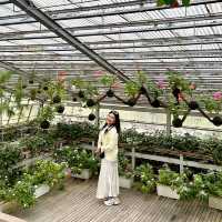 Botanical Beauty at Rumah Atsiri