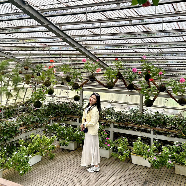 Botanical Beauty at Rumah Atsiri