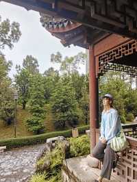 三不管九龍城寨之圍城