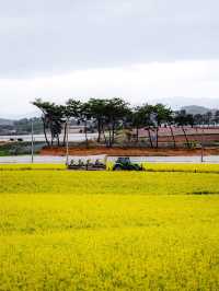 Boryeonara academy farm