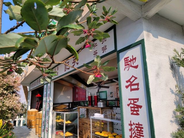 不能錯過的香港活動