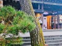 A Peaceful Getaway at Maninsan Forest Retreat